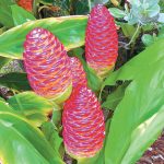 article image - 